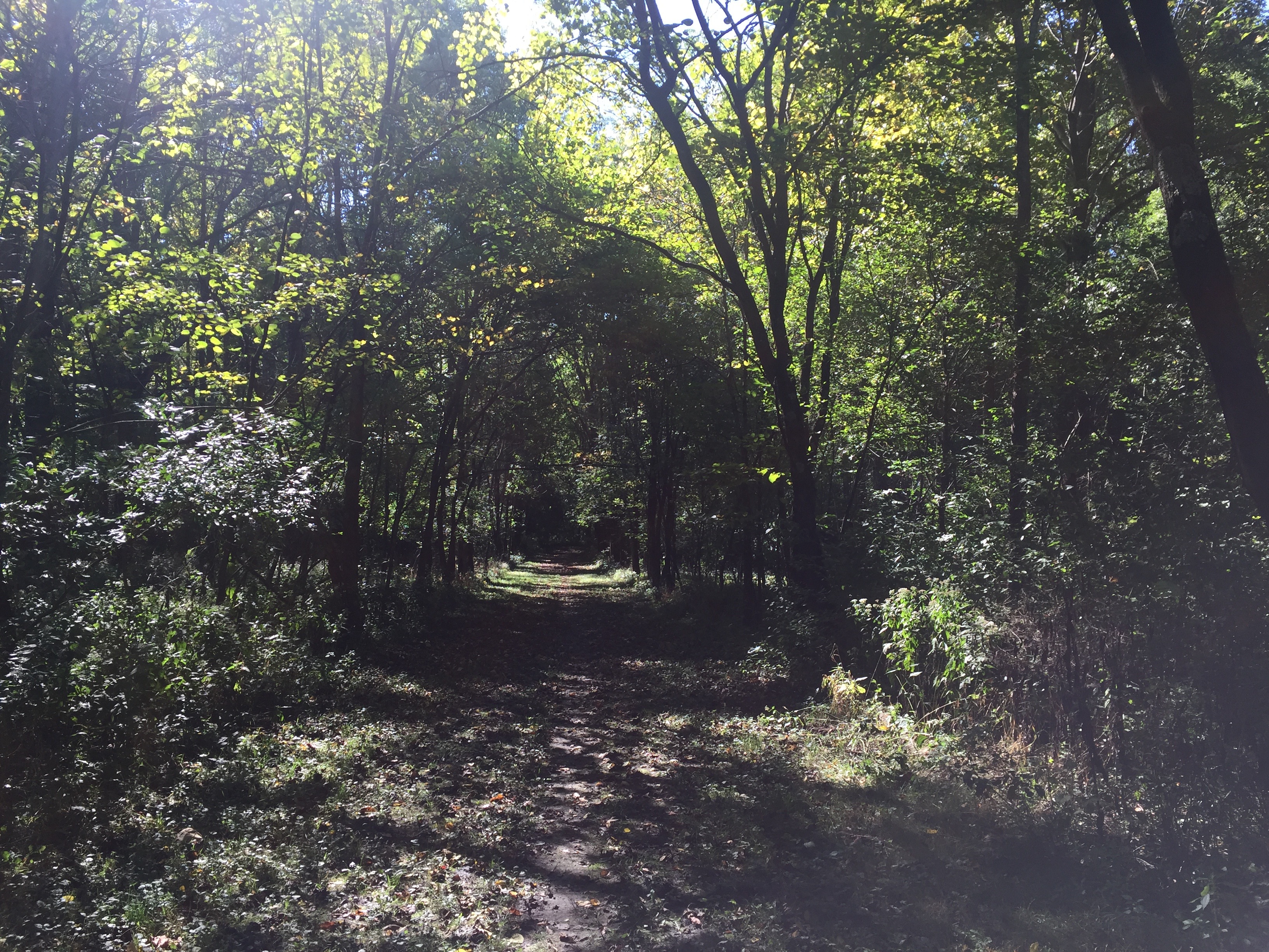 Information about "IMG_2509.jpg" on homer lake forest preserve